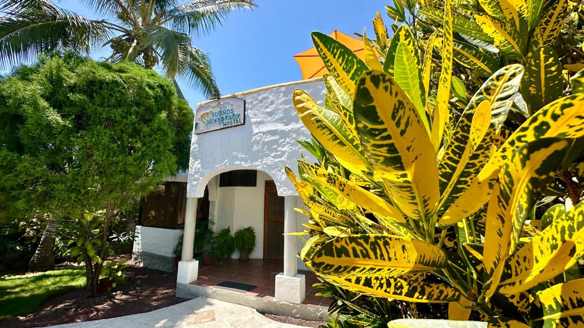Hostal Suenos Silvestres Puerto Ayora  Exterior foto