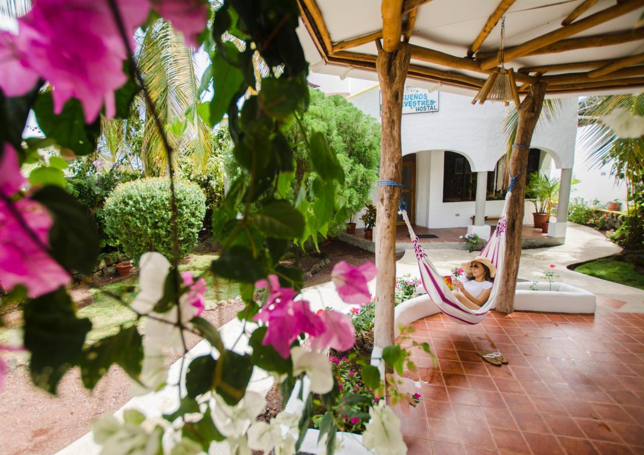 Hostal Suenos Silvestres Puerto Ayora  Exterior foto